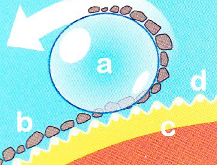 Lona Autorentable i Multifuncions 6